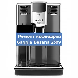 Чистка кофемашины Gaggia Besana 230v от накипи в Новосибирске